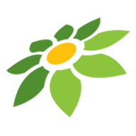 LINK BRI4D